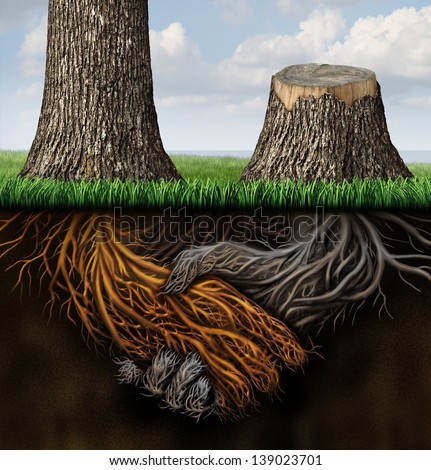 Broken partnership problems as two trees with roots shaped as a business handshake with one tree cut down and the root rotting as a concept of a lost or canceled contract and partner disagreement.