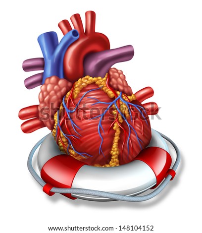 Heart rescue medical health care concept with a human cardiovascular organ in a lifesaver or life belt as a symbol of emergency coronary surgery or therapy before a stroke or heart attack on white.
