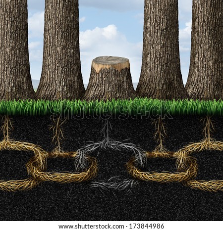 Broken Chain Business Concept With A Group Of Trees And Roots Shaped As Links With One Link Severed And Separated By The Cutting Of A Tree As A Metaphor For Teamwork Failure And Partnership Crisis.
