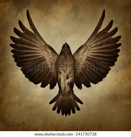 Wings of freedom on a grunge texture background as a breaking free and spirituality faith symbol as a bird with open spread feathers flying upward to success Wings of freedom on a grunge texture background as a breaking free and spirituality faith symbol as a bird with open spread feathers flying upward to success