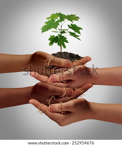 Community cooperation concept and social crowdfunding investment symbol as a group of diverse hands nurturing a sapling tree with roots wrapped and connecting the people together.