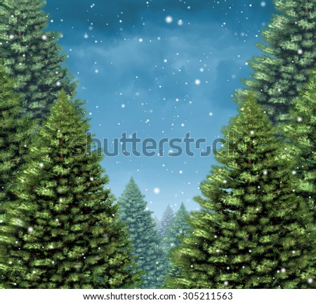 Winter tree background concept as a group of Christmas trees with snow flakes falling as a seasonal holiday symbol with blank copy space for a greeting card or a festive New Year season announcement.