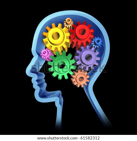 Brain activity intelligence cognitive function