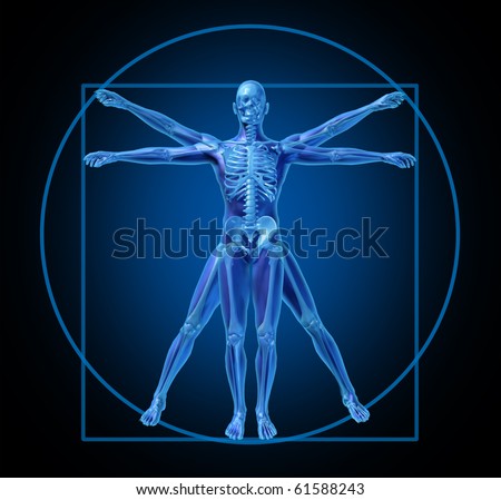 vitruvian-human-diagram-medical
