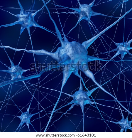 neurone brain connections nervous system anatomy