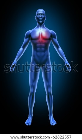circulation of heart. stock photo : Human body heart