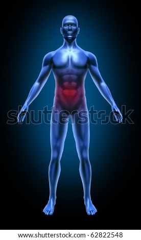 stock photo : Human body intestinal gastro colon cancer ulcer food poisoning medical x-ray