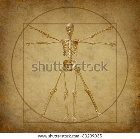 vitruvian human skeleton diagram grunge medical parchment