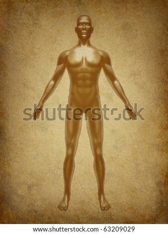 Joints In Human Body. stock photo : Human body