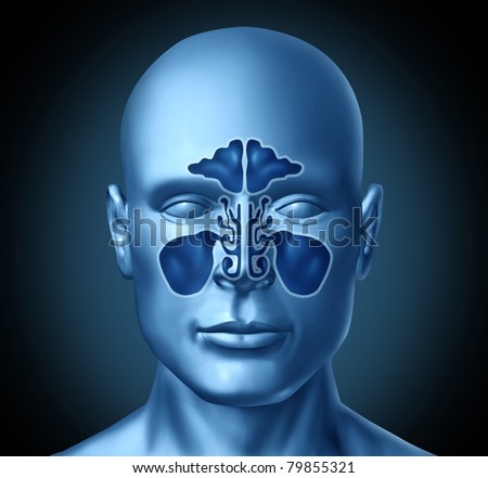 Sinus cavity on a human head representing a medical symbol of nasal anatomy.