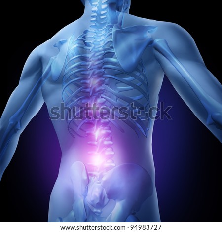 Lower back pain and human backache with an upper torso body skeleton showing the spine and vertebral column in glowing highlight as a medical health care concept for spinal surgery and therapy.