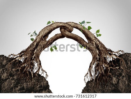 Connected together concept and synergy symbol as two trees merging and linked in a strong chain as a business cooperation metaphor in a 3D illustration style