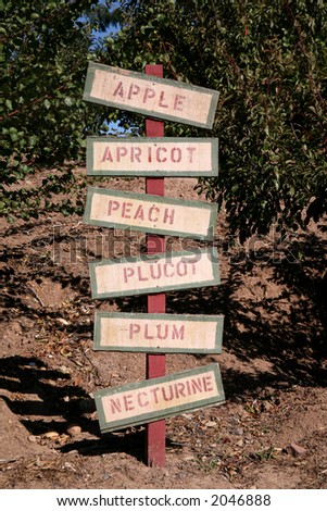 Weathered sign with names of multiple fruits