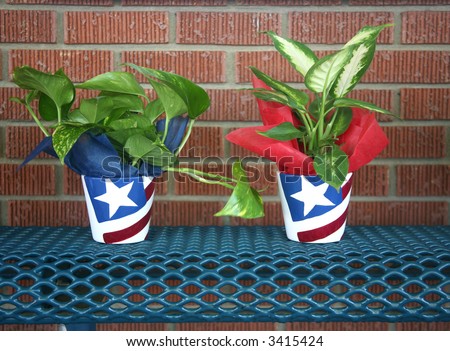 Green plant in an American flag painted pot ready to be gifted for a holiday