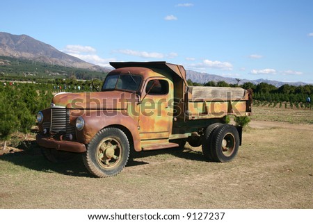Rusty dump truck parked on a commercial Christmas tree farm open for business