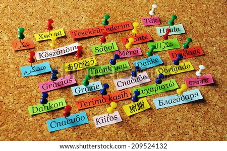 Thank You Word  on colorful paper different languages pinned on cork board