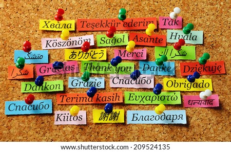 Thank You Word  on colorful paper different languages pinned on cork board
