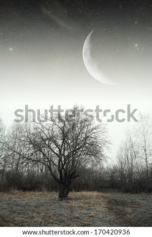 country house at night. Elements of this image furnished by NASA