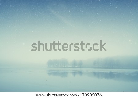 night lake forest . Elements of this image furnished by NASA