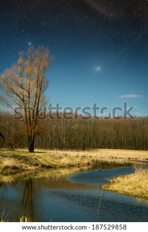 Spring in the parks and forests of Europe. Elements of this image furnished by NASA
