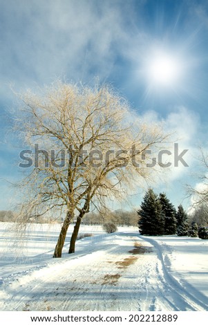 Beautiful winter landscape in Eastern Europe.