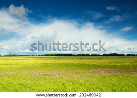 summer landscape. beautiful places in Eastern Europe. Baltics