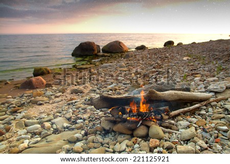 Inviting campfire on the beach during the summer. Elements of this image furnished by NASA