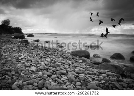 Black & White rocky seascape scene with seagull on stone
