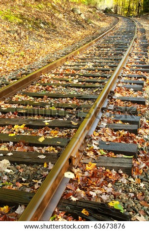 A railroad track runs through the fall woods