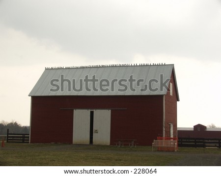 barn on farm with birds on roof