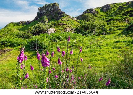 Fairy glen on the Isle of Skye in Scotland