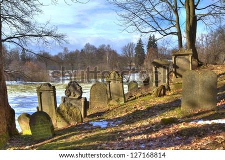 an old jewish cemestery on a hill in the park of ChodovÃ?Â¡r PlanÃ?Â¡ in Czechia in East Europe