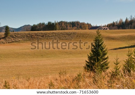 Grazing land in the Alps