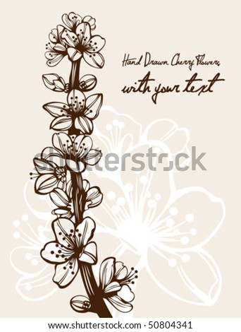 stock vector Blossom cherry flowers branch high quality detailed drawing