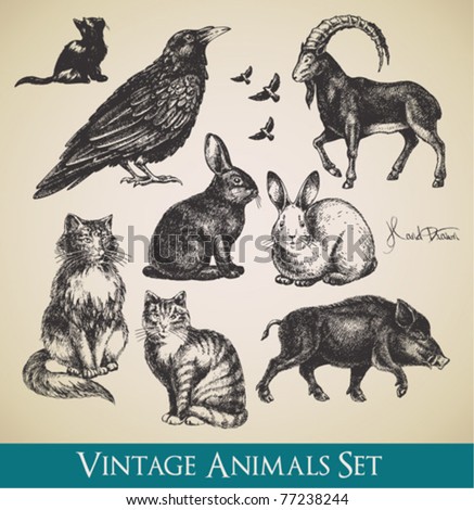 Vector animals set - raven, cats, flying birds, rabbits, boar, goat