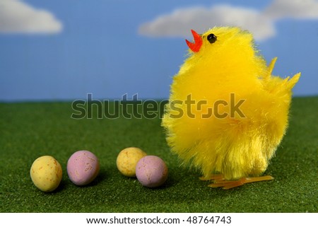 Yellow Chick with Chocolate Eggs Blue Sky 4
