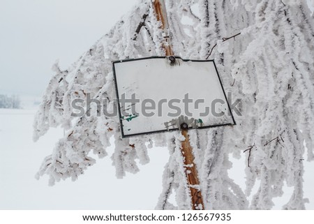 snowy tree with empty sign in winter landscape