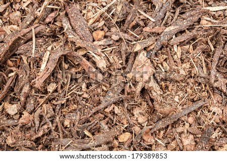 garden bark mulch texture for background od backdrop
