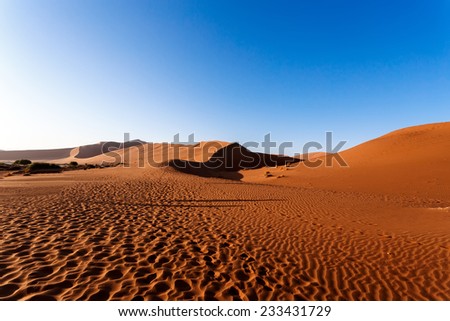 beautiful sunrise landscape of hidden Dead Vlei in Namib desert with blue sky, this is best place in Namibia