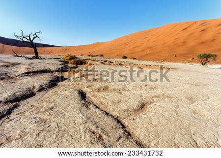 beautiful sunrise landscape of hidden Dead Vlei in Namib desert with blue sky, this is best place in Namibia