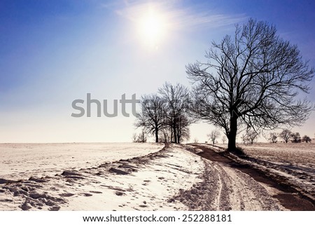 winter landscape with old grey rural road and trees, blue sky and sun