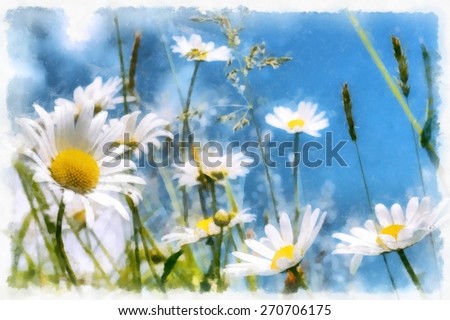 akvarel vintage effect of spring daisy flower field, watercolor
