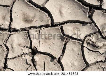 grunge mud cracks texture, dry cracked earth texture