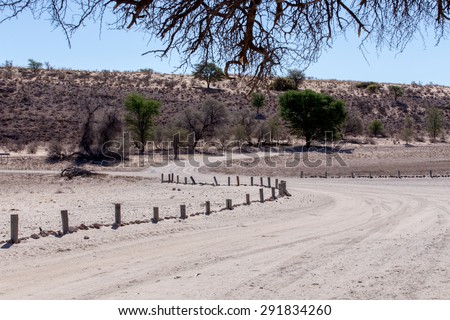 road in Kgalagadi transfontier park, game reserve in South Africa with blue sky