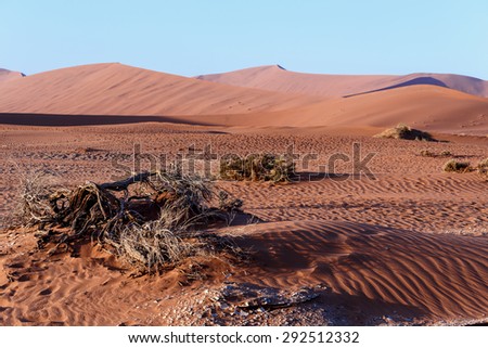 beautiful sunrise landscape of hidden Dead Vlei in Namib desert, best place of Namibia
