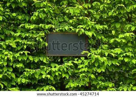 label in green leaf background with place for your text