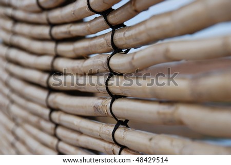 Reed Wall