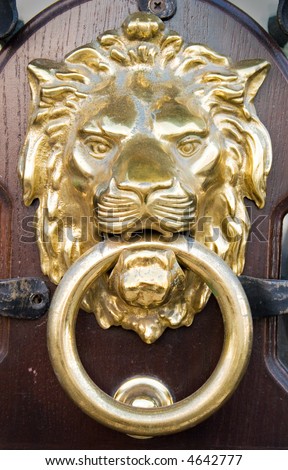 clip art lion head. stock photo : Lion Head Door