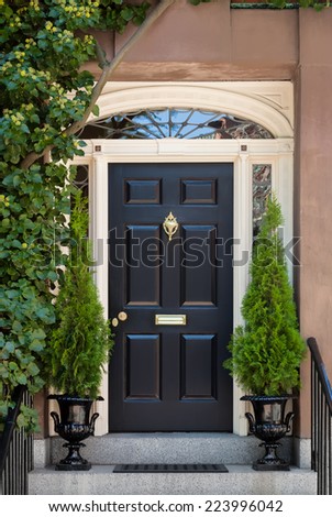Black Front Door with White Door Frame and Greenery