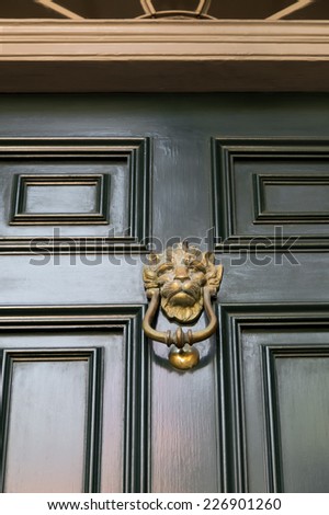 Detail Close Up of Gold Door Knocker on Green Paneled Front Door